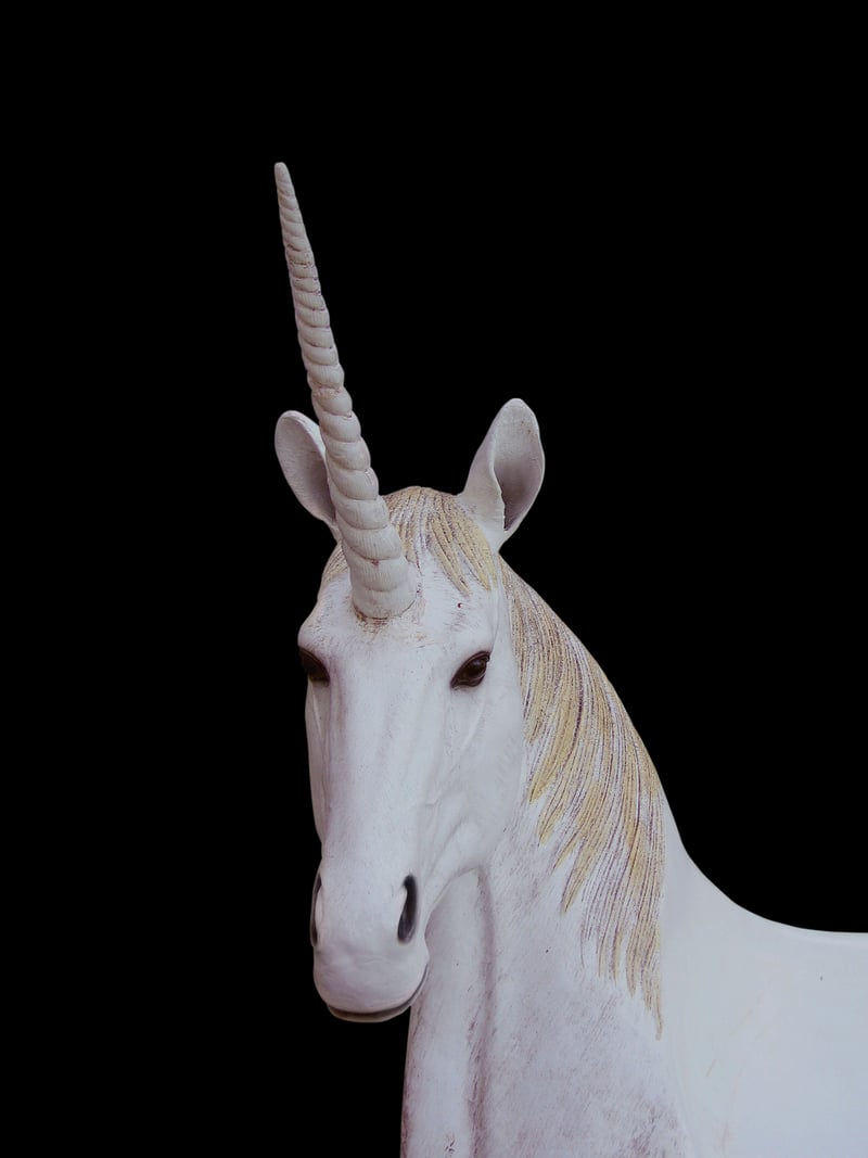 Unicorn Backdrops